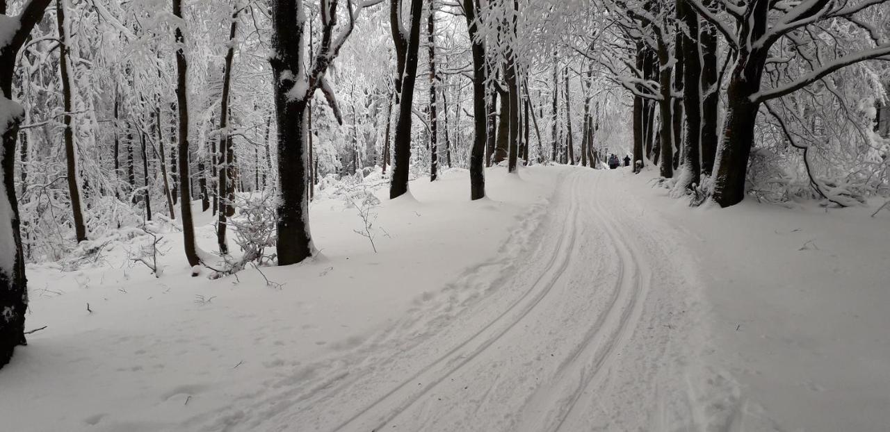 Penzion na Křižovatce Polevsko Esterno foto